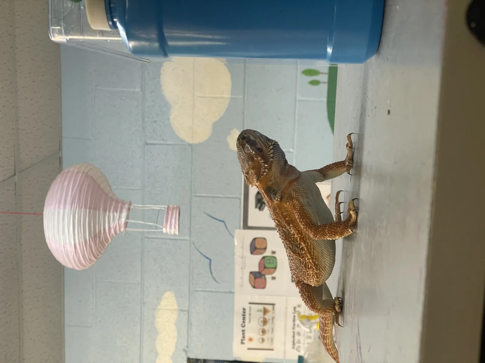Daycare gallery image